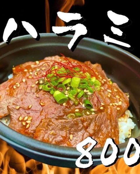 江田屋 ハラミ丼